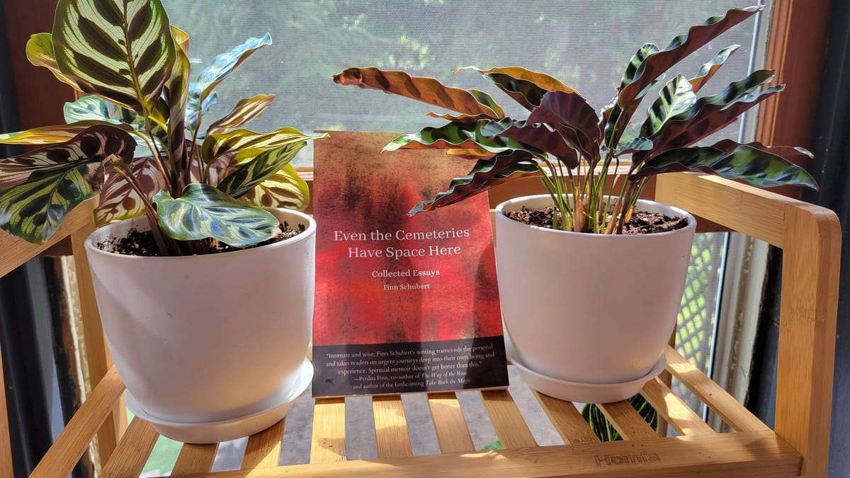 What I Learned From Self-Publishing My Essay Collection